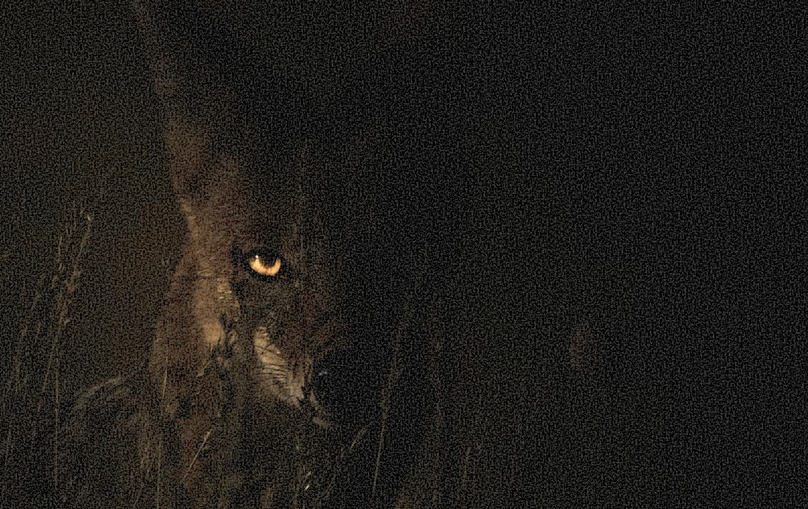 Better job hunt process